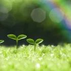 【介護保険事業】デイ